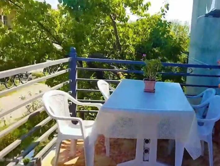 Villa Tamoland *